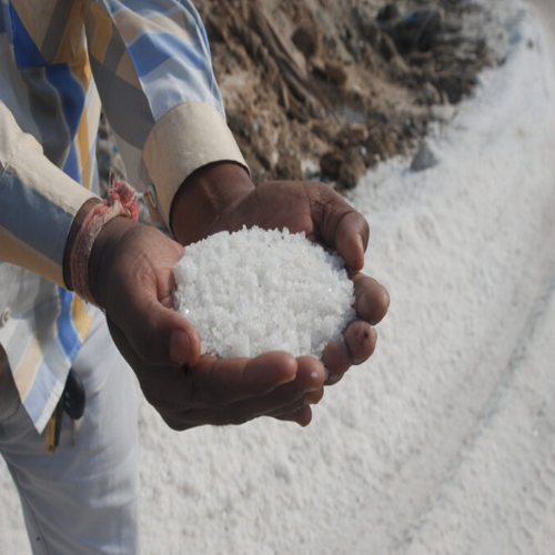 Bulk Supplier of Refine Salt in India