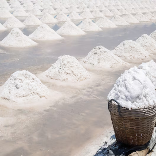 Common Salt for Industrial Use in India