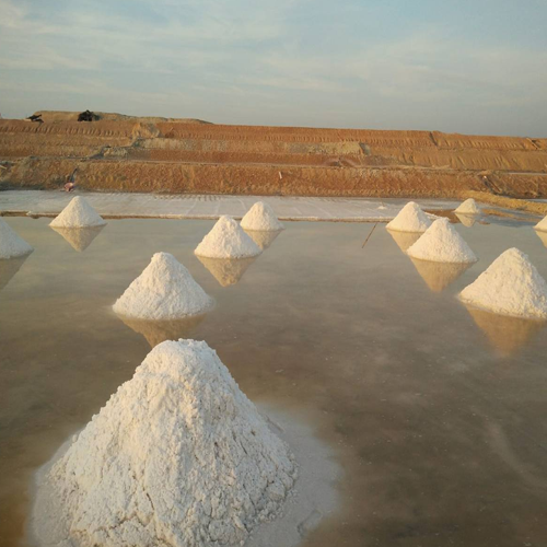 Top Industrial Salt Suppliers in India